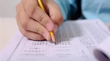 رابط برقم الجلوس.. نتائج الشهادة الإعدادية في محافظة الإسكندرية لعام 2026 تظهر إلكترونيًا